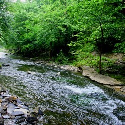 Landscape Photography