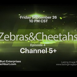 Zebras & Cheetahs Reality Series Lasting Image Pro Photography Video